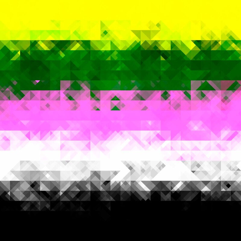 Groovy Geometric Abstract Ceterosexual Pride Flag